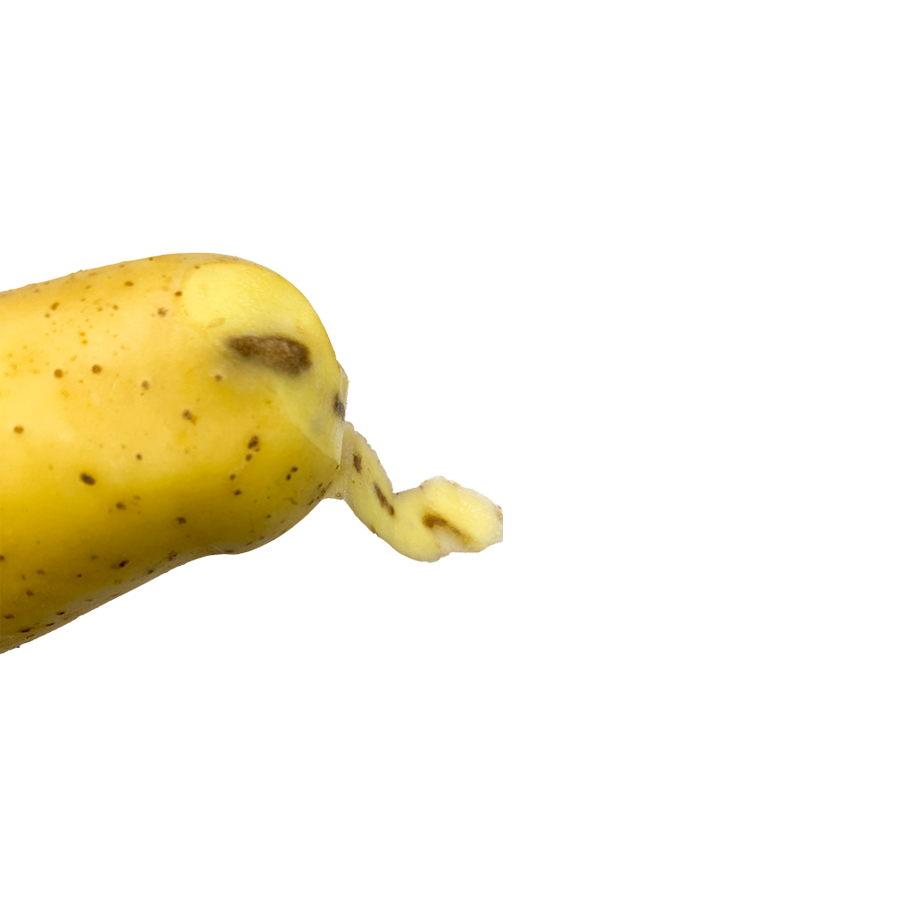 Coups pommes de terre