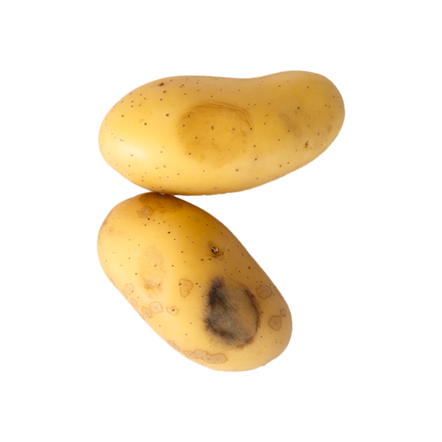 Facettes de pommes de terre