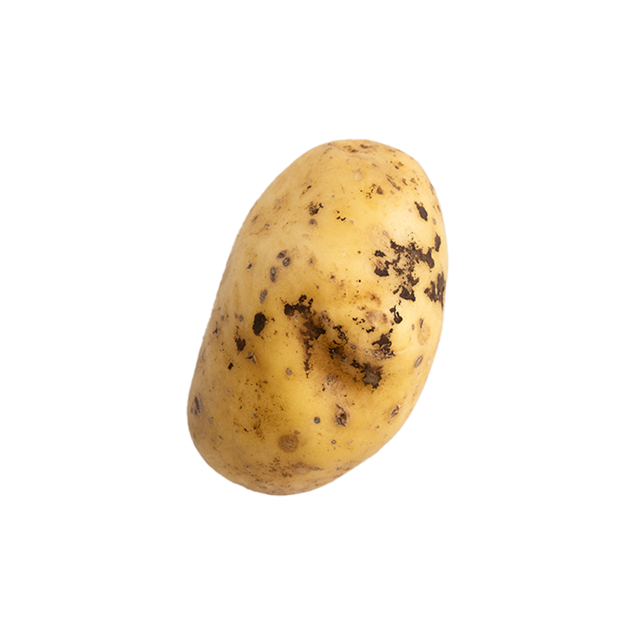 Rhizoctone pommes de terre
