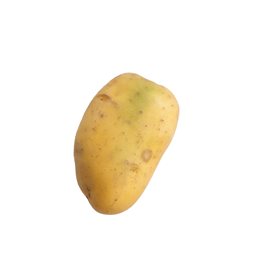 Pommes de terre vertes