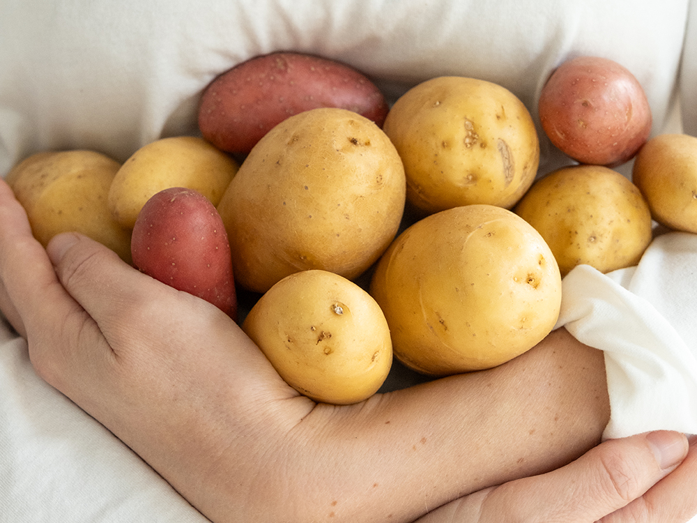 choisir ses pommes de terre
